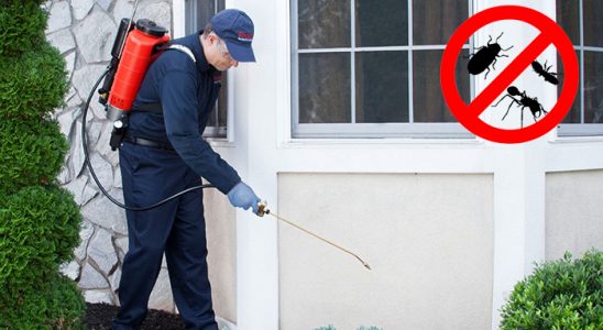 Gündoğmuş Böcek ve Haşere İlaçlama böcek ilaçlama ve haşere kontrolü — ilaclama-tr.com